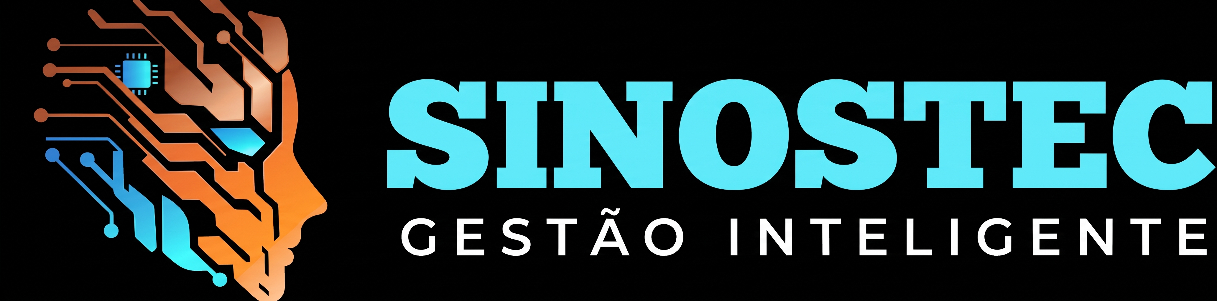 Sinostec Logo